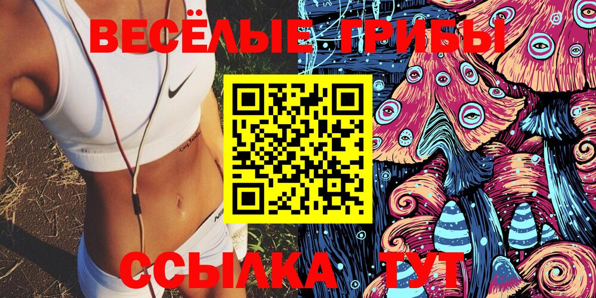 ГАШ Белая Калитва